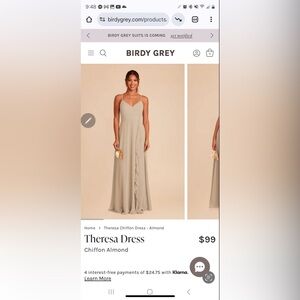 Birdy Grey Chiffon Almond Dress